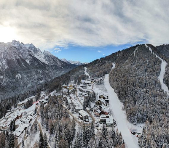 Christmas Promo Christmas Promo